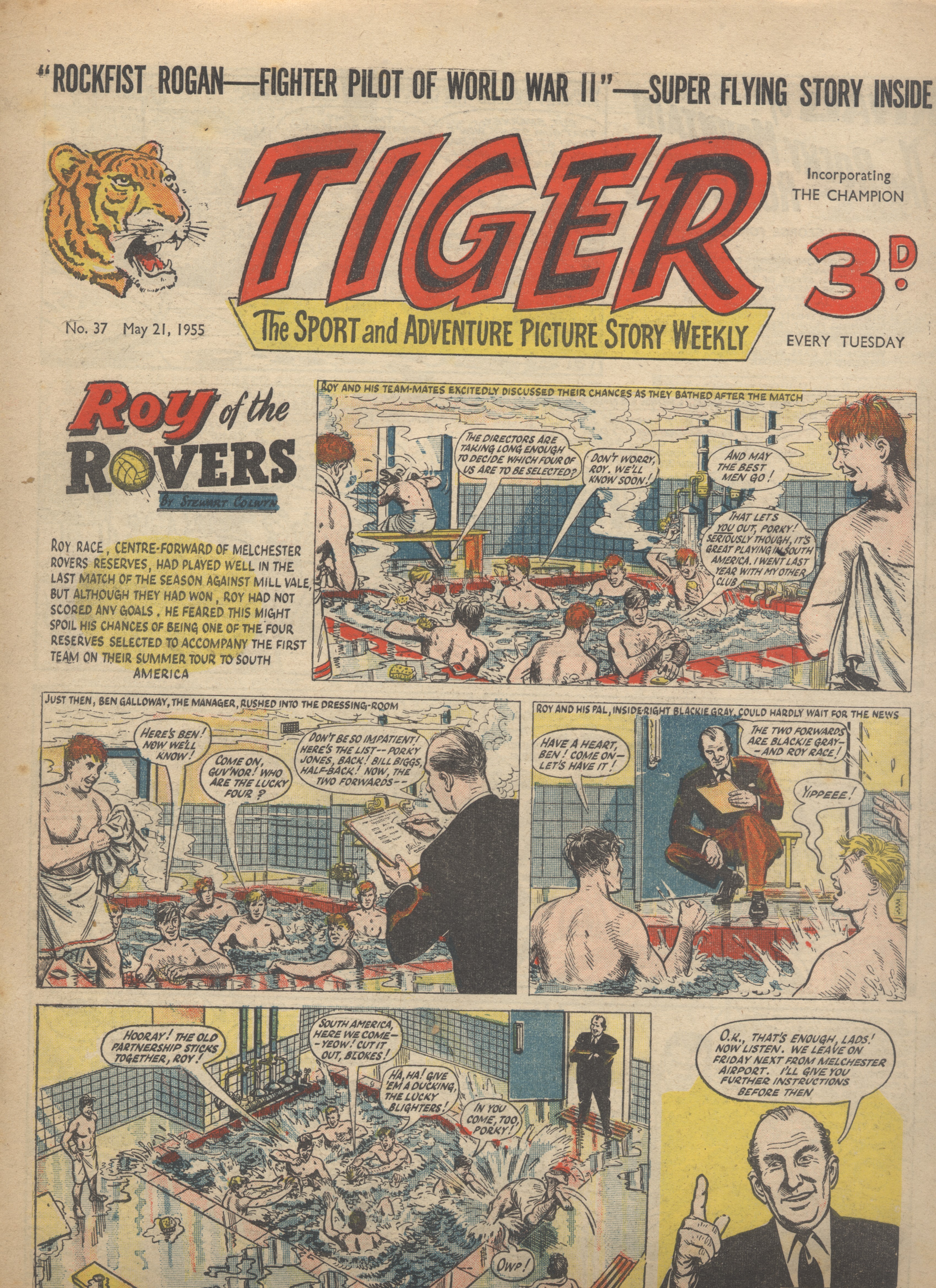 Tiger